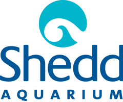 Shedd Aquarium Couoons