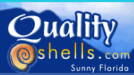 Quality Shells Couoons