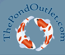 The Pond Outlet Couoons