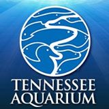 Tennessee Aquarium Couoons